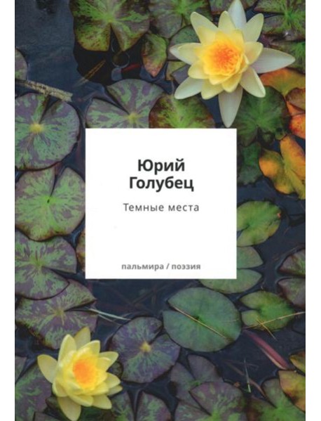 Темные места. Вторая книга песен