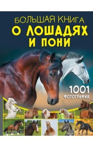 Большая книга о лошадях и пони. 1001 фотография