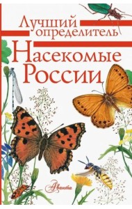 Насекомые России