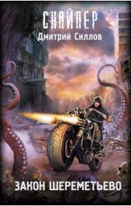 Закон Шереметьево: фантастический роман