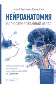 Нейроанатомия. Иллюстрированный атлас