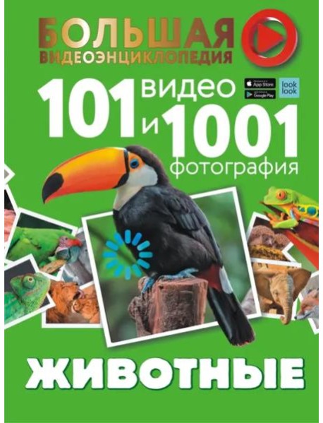 Животные. 101 видео и 1001 фотография
