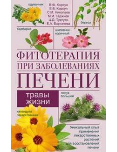 Фитотерапия при заболеваниях печени. Травы жизни Фитотерапия при заболеваниях печени. Травы жизни