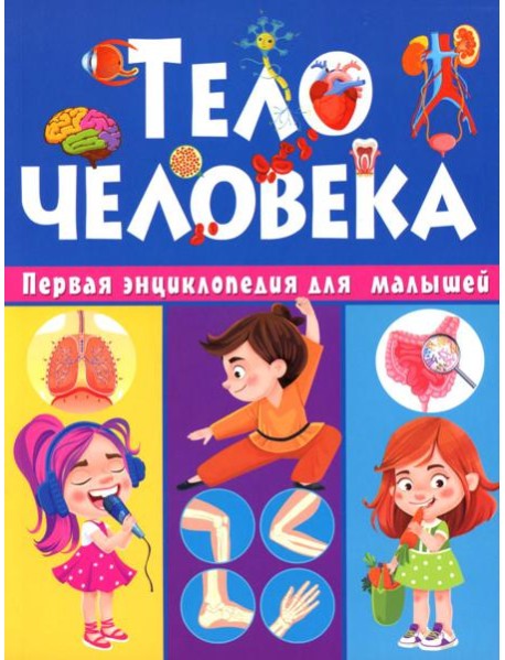 Тело человека. Первая энциклопедия для малышей