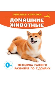 Домашние животные