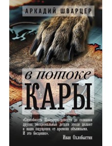 В потоке Кары