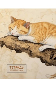 Тетрадь для иероглифов (рыжий котик)