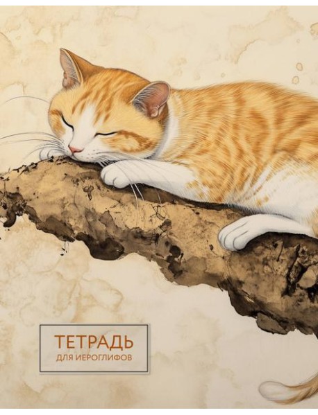 Тетрадь для иероглифов (рыжий котик)