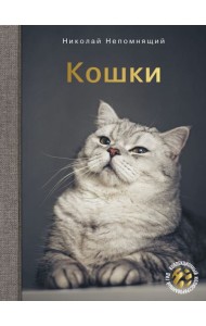 Кошки