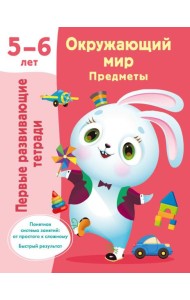 Окружающий мир. Предметы. 5-6 лет