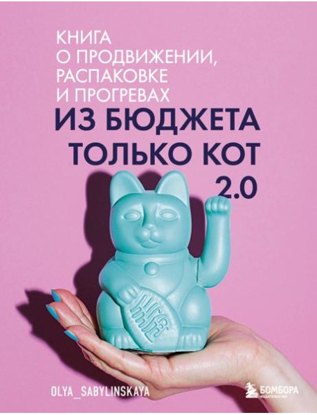 Из бюджета только кот 2.0