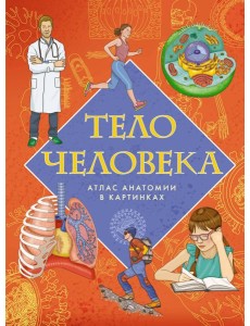 Тело человека. Атлас анатомии в картинках Тело человека. Атлас анатомии в картинках