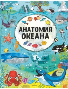 Анатомия океана