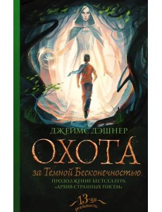 Охота за Темной Бесконечностью Охота за Темной Бесконечностью