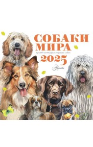 Собаки мира. Календарь для детей на 2025 год