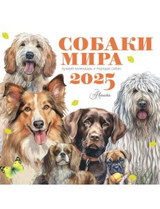 Собаки мира. Календарь для детей на 2025 год
