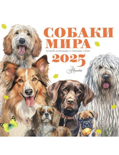 Собаки мира. Календарь для детей на 2025 год