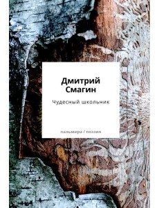 Чудесный школьник: сборник стихотворений Чудесный школьник: сборник стихотворений