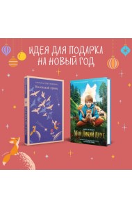 Набор Маленького принца (набор из 2 книг: 