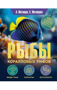 Рыбы коралловых рифов