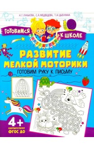 Развитие мелкой моторики. Готовим руку к письму