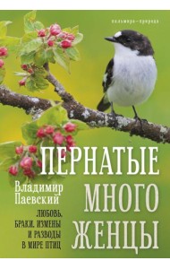 Пернатые многоженцы: Любовь, браки, измены и разводы в мире птиц