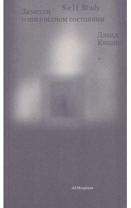 Self Study. Заметки о шизоидном состоянии