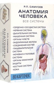 Анатомия человека. 80 карточек. Все системы