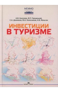 Инвестиции в туризме: монография