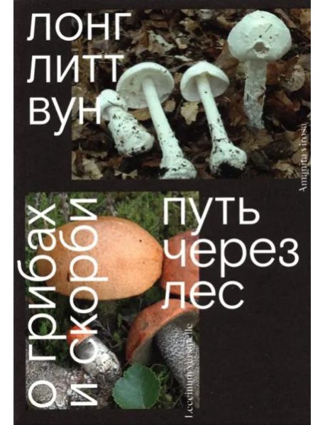 Путь через лес. О грибах и скорби