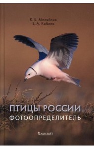 Птицы России. Фотоопределитель