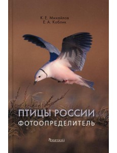 Птицы России. Фотоопределитель