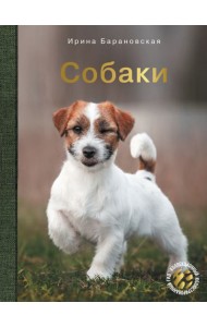 Собаки