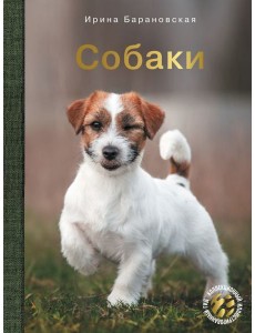 Собаки
