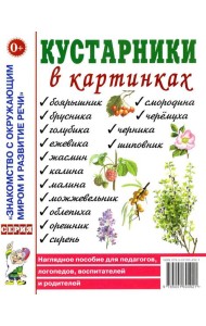 Кустарники в картинках. Наглядное пособие для педагогов, логопедов, воспитателей и родителей