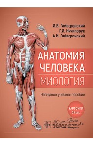 Анатомия человека. Миология. Карточки : наглядное учебное пособие