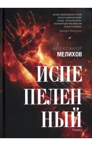 Испепеленный: роман