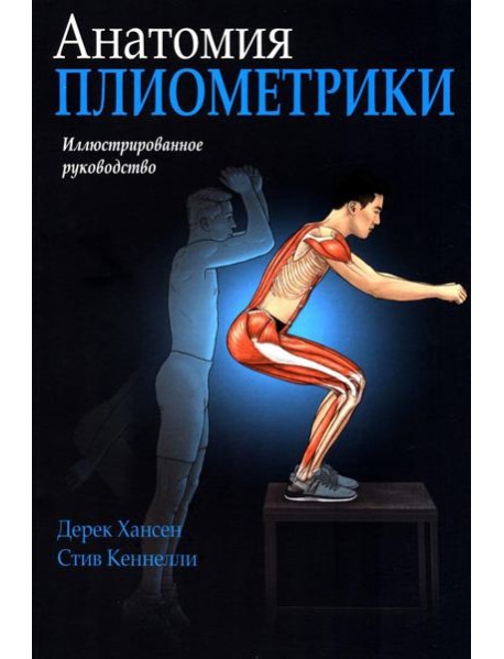 Анатомия плиометрики