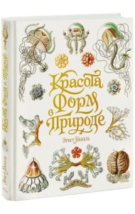 Красота форм в природе