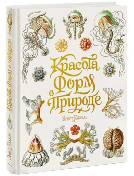 Красота форм в природе