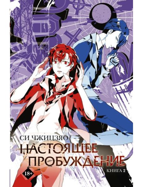 Настоящее пробуждение. Real Awakening. Книга 2