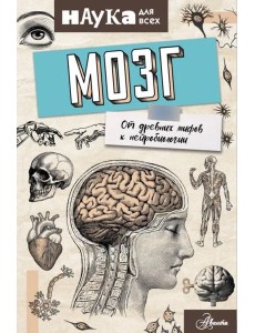 Мозг. От древних мифов к нейробиологии Мозг. От древних мифов к нейробиологии