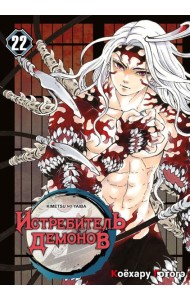 Истребитель демонов. Т. 22: Круговорот судеб: манга