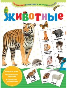 Животные Животные