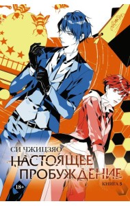 Настоящее пробуждение. Real Awakening. Книга 3