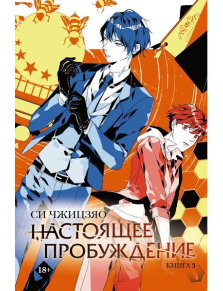 Настоящее пробуждение. Real Awakening. Книга 3