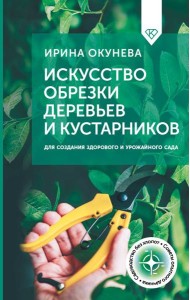 Искусство обрезки деревьев и кустарников для создания здорового и урожайного сада