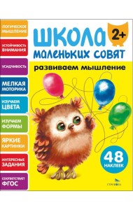 Школа маленьких совят 2+ Развиваем мышление
