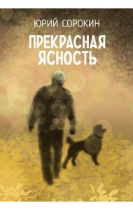 Прекрасная ясность