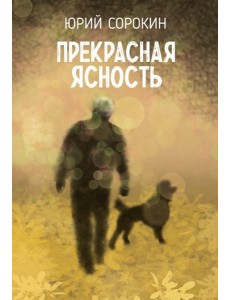 Прекрасная ясность